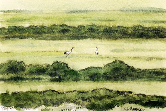 photo8.jpg