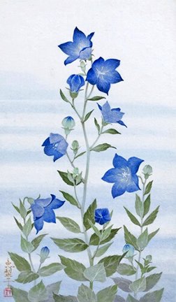 photo3.jpg