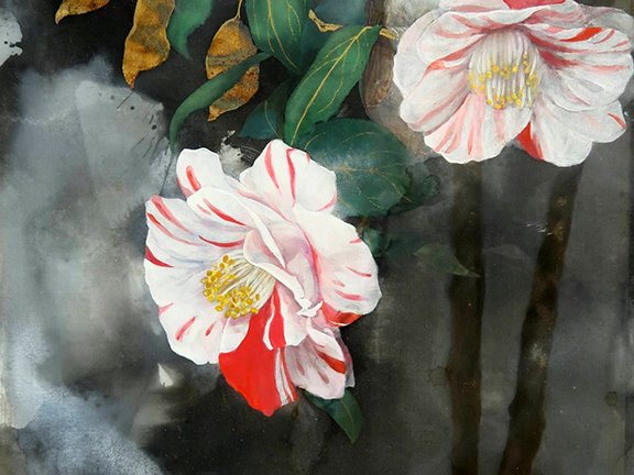 photo8.jpg