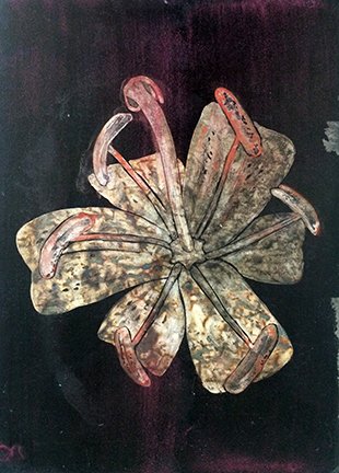 photo7.jpg