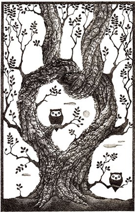 photo23.jpg