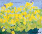 photo45_small.jpg