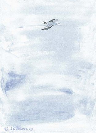 photo81.jpg
