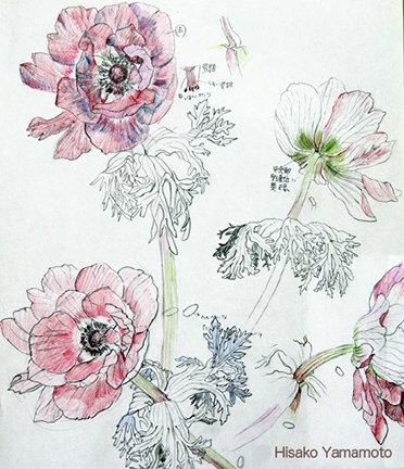 photo35.jpg