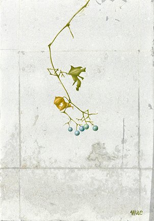photo10.jpg