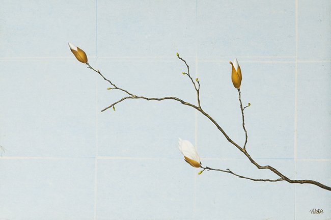 photo16.jpg