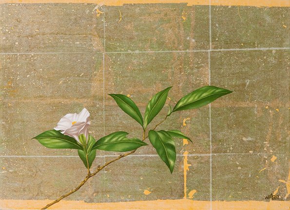 photo20.jpg
