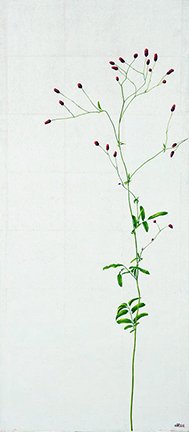 photo6.jpg