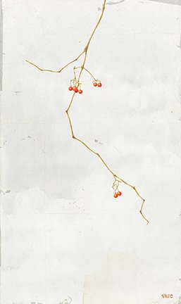 photo8.jpg
