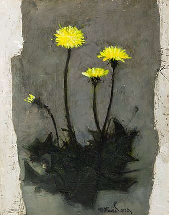 photo15.jpg