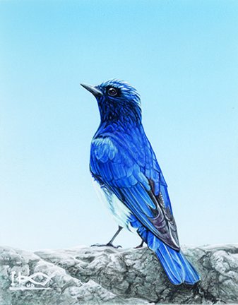 photo7.jpg