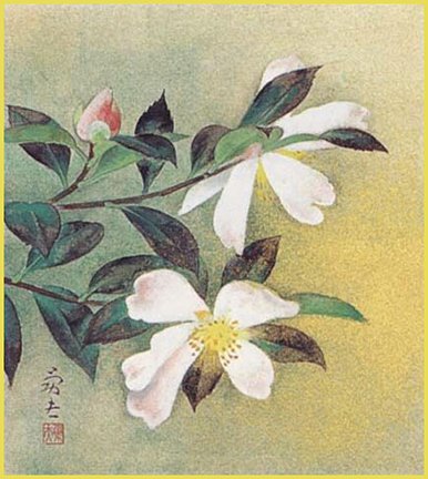 photo4.jpg
