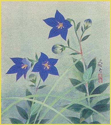 photo6.jpg