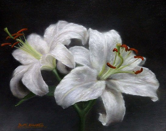 photo24.jpg
