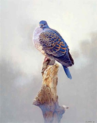 photo3.jpg