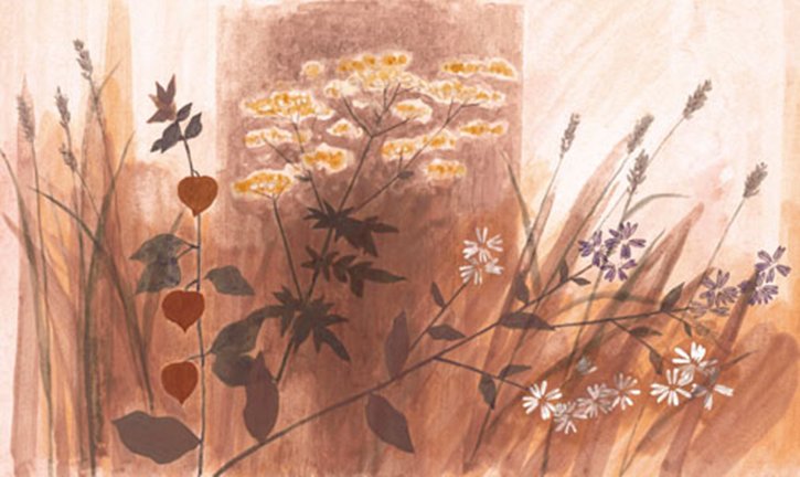 photo20.jpg