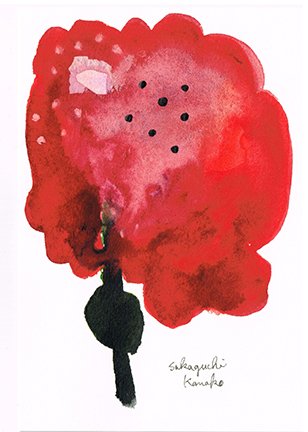 photo8.jpg