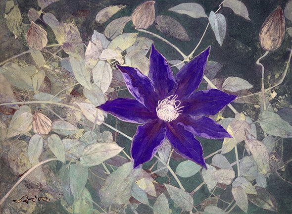 photo13.jpg