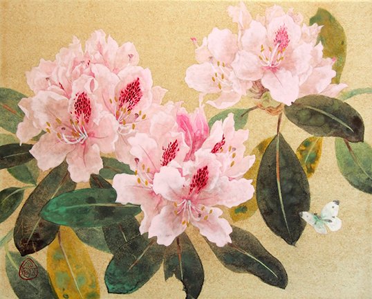 photo34.jpg