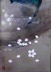 photo12_small.jpg