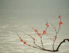 photo58_small.jpg
