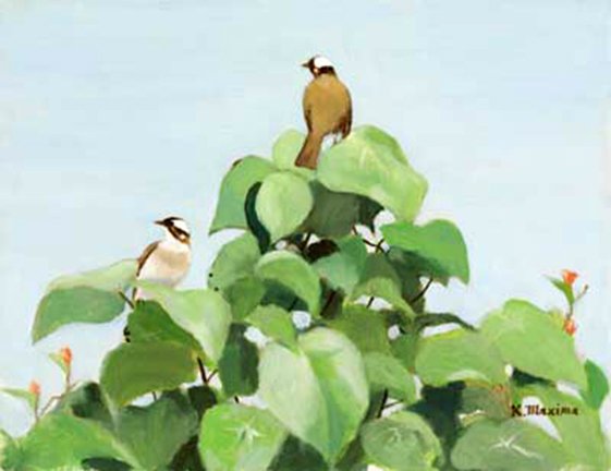 photo22.jpg