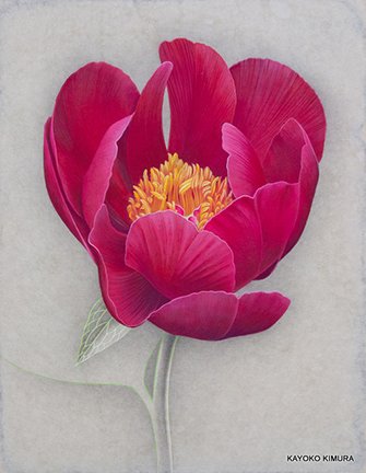 photo11.jpg
