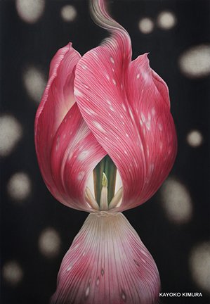 photo39.jpg