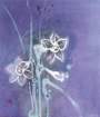 photo15_small.jpg