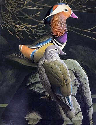 photo15.jpg