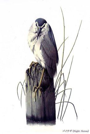 photo23.jpg