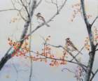 photo160_small.jpg