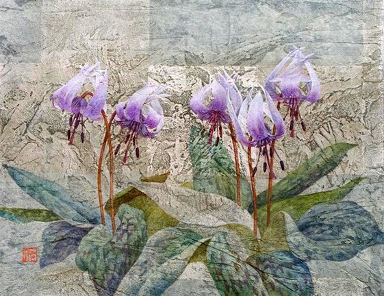 photo45.jpg