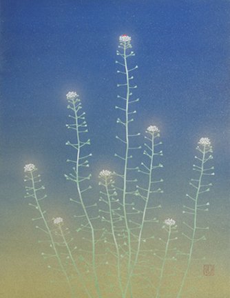 photo45.jpg
