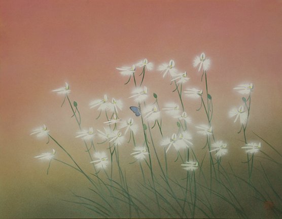 photo57.jpg