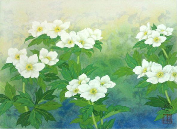 photo.jpg