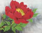 photo73_small.jpg