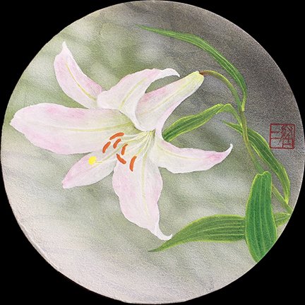 photo6.jpg