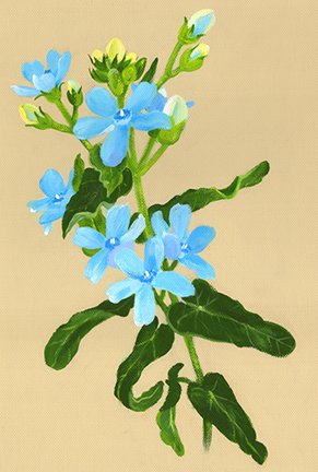 photo17.jpg