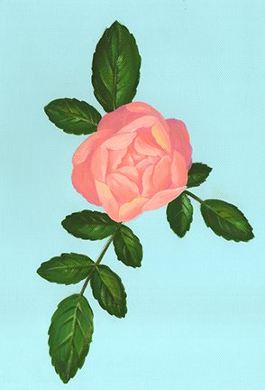 photo20.jpg