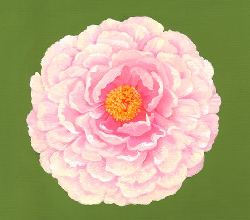 photo23.jpg