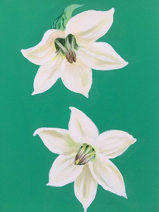 photo28.jpg