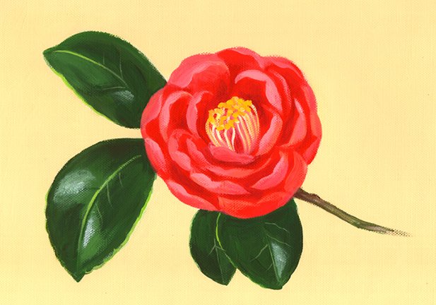 photo5.jpg