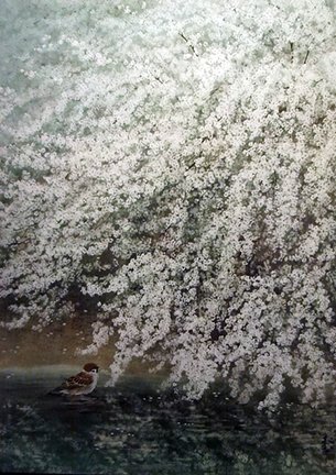photo2.jpg