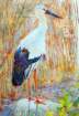 photo100_small.jpg