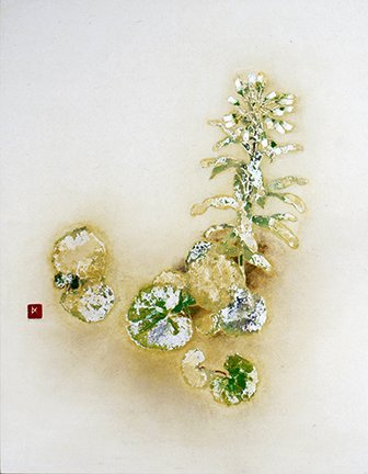 photo22.jpg