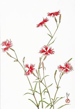 photo20.jpg