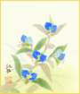 photo15_small.jpg