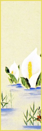 photo22.jpg
