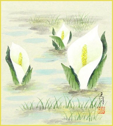 photo9.jpg
